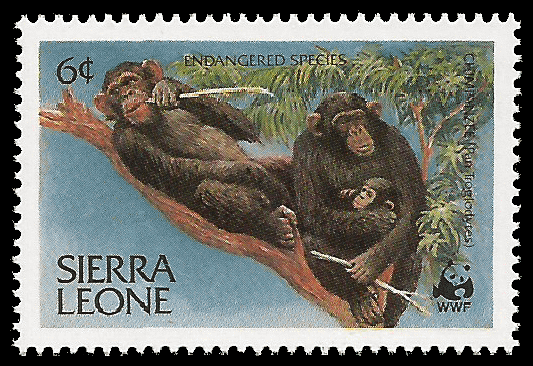 Read more about the article Sierra Leone 1983 Chimpanzee