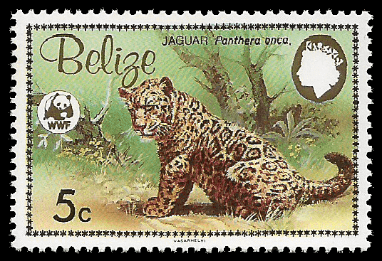 Read more about the article Belize 1983 Jaguar