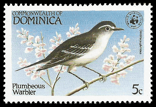 Read more about the article Dominica 1984 Birds of the Caribbean