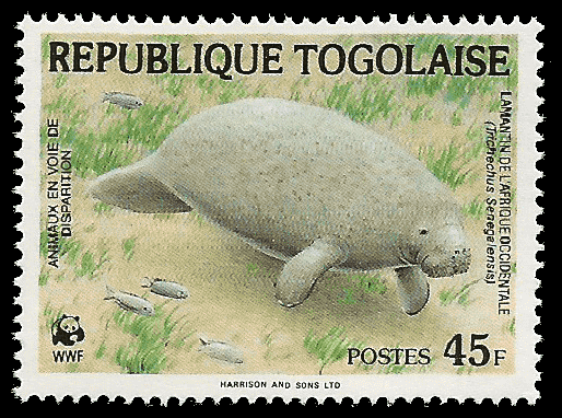 Read more about the article Togo 1984 West African Manatee