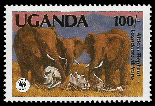 Read more about the article Uganda 1991 African Elephant