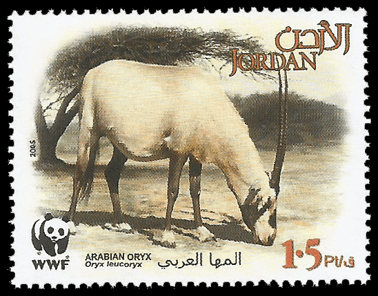 Read more about the article Jordan 2005 Arabian Oryx