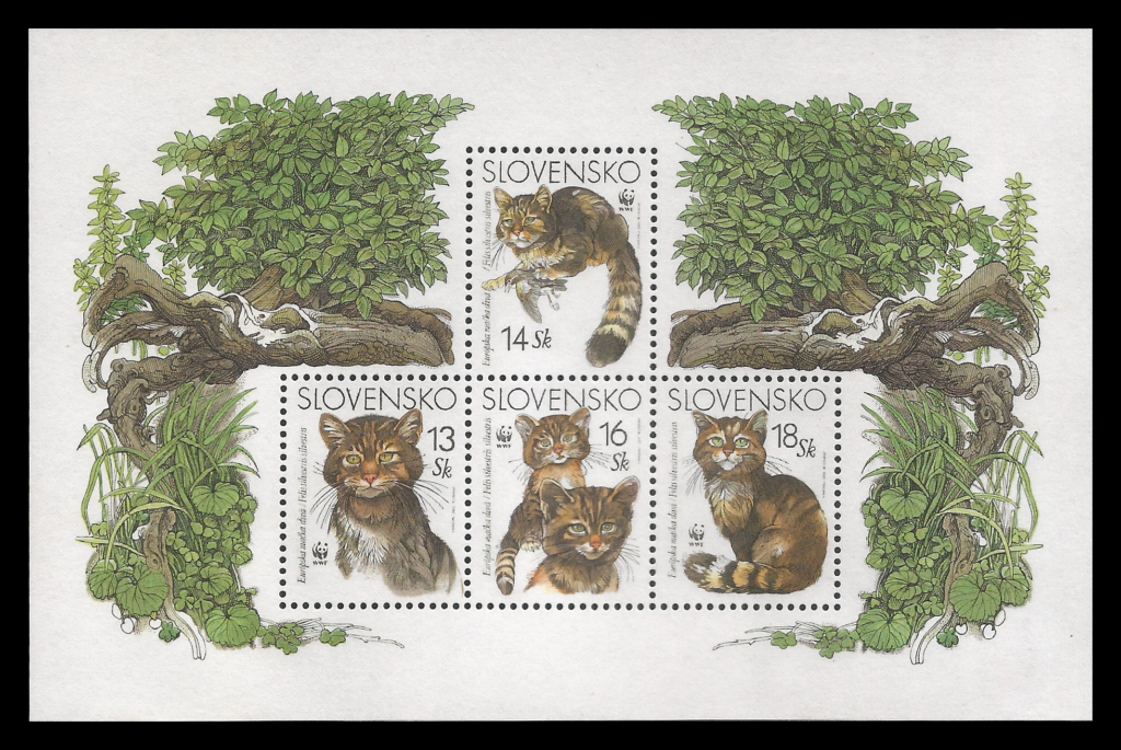Read more about the article Slovakia 2003 European Wild Cat