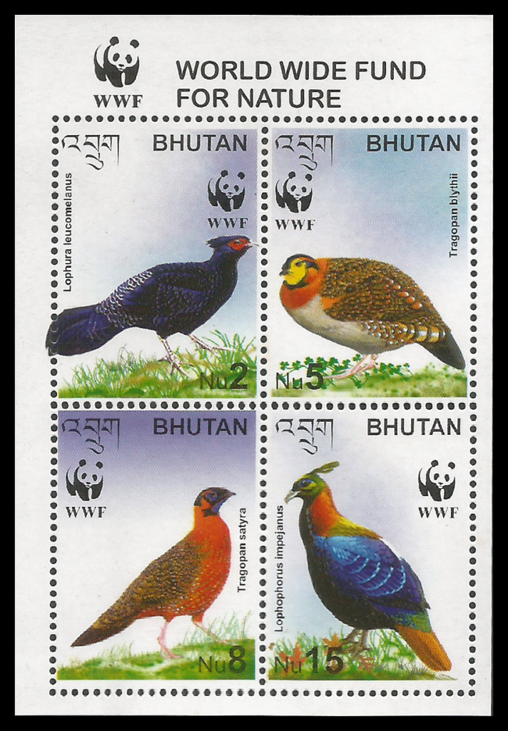 Read more about the article Bhutan 2003 Pheasants & Tragopans